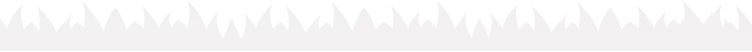 Form